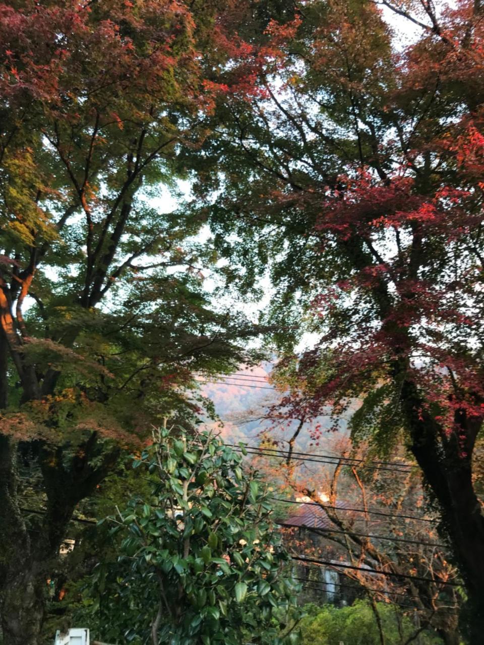 Umimoto 호텔 하코네 외부 사진